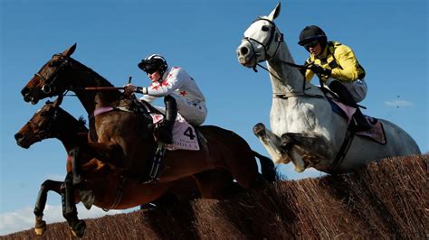 Bet365 Gold Cup 2024 Tips, Runners Guide, Riders.